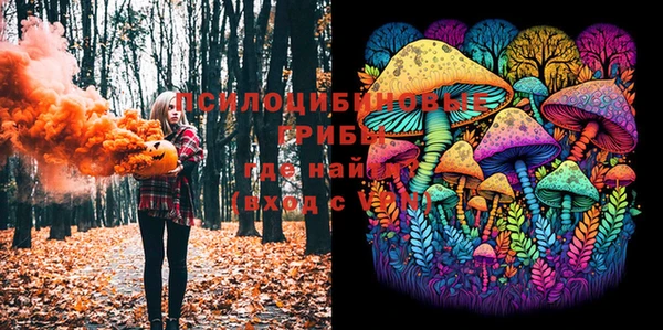 экстази Богданович