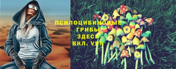 экстази Богданович