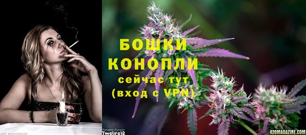 2c-b Богородицк