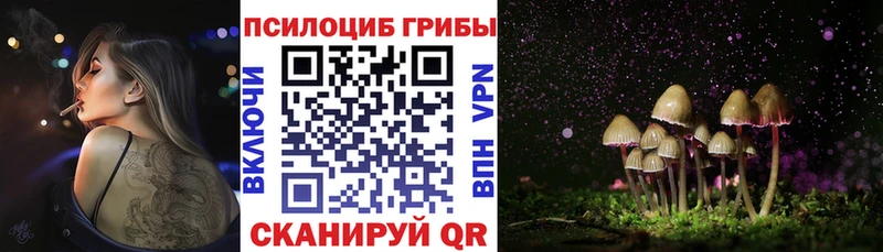 Галлюциногенные грибы мухоморы  МЕГА зеркало  Благовещенск 